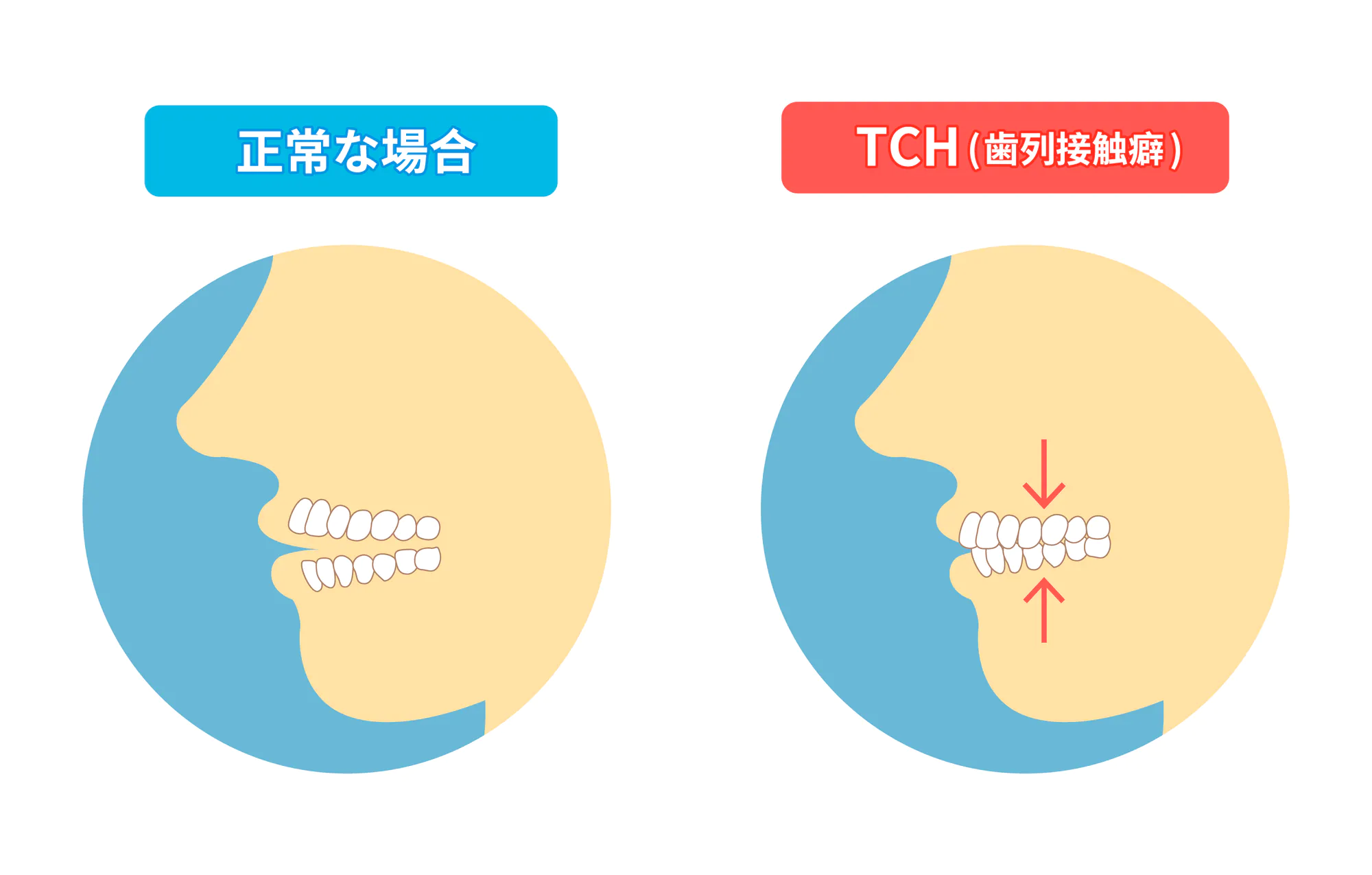 岡崎市の歯医者、ヒロデンタルオフィスの歯から全身の健康を