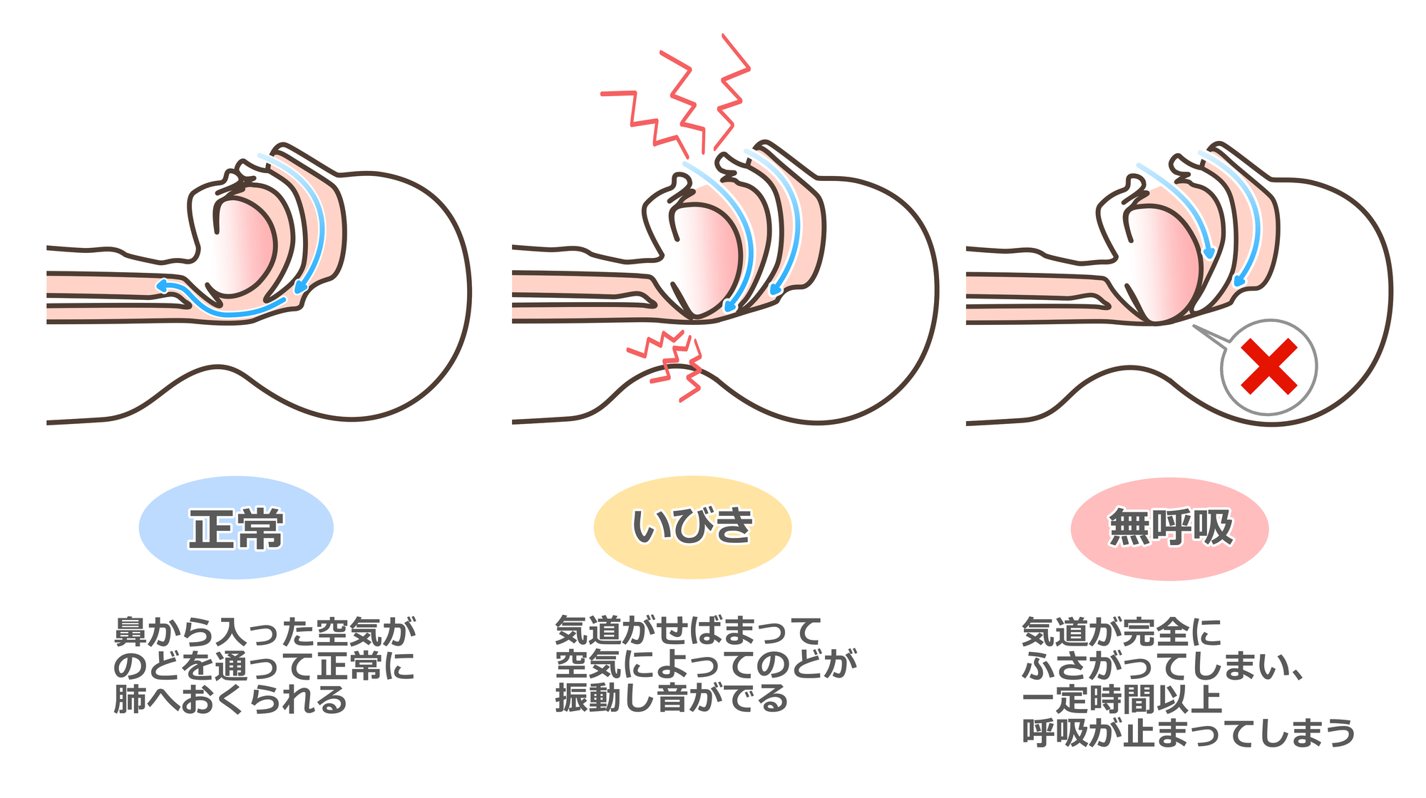 岡崎市の歯医者、ヒロデンタルオフィスの歯から全身の健康を